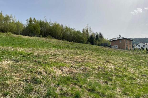 Grundstück kaufen in 8661 Sankt Barbara (Bild 1)