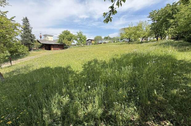 Grundstück kaufen in 4224 Wartberg (Bild 3)
