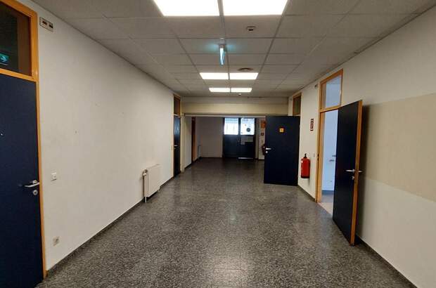 Gewerbeobjekt mieten in 2700 Wiener Neustadt (Bild 2)