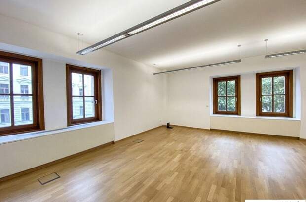 Gewerbeobjekt mieten in 1010 Wien (Bild 1)