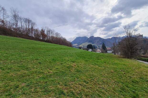 Grundstück kaufen in 4460 Losenstein (Bild 2)