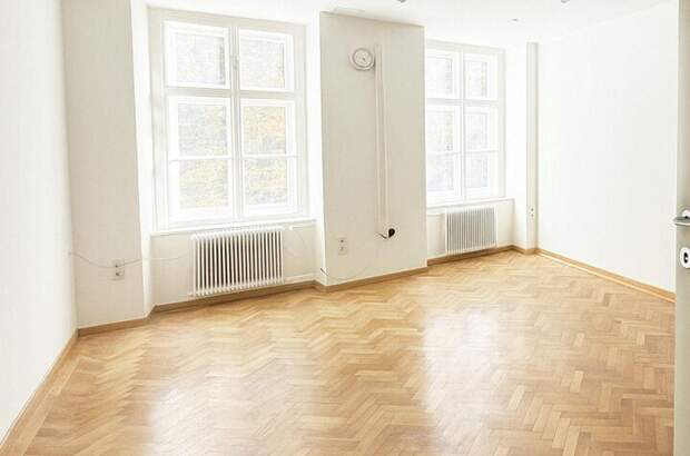 Gewerbeobjekt mieten in 1060 Wien (Bild 4)