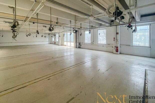 Lager mieten in 4052 Ansfelden (Bild 4)
