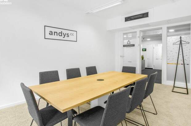 Gewerbeobjekt mieten in 1040 Wien (Bild 3)