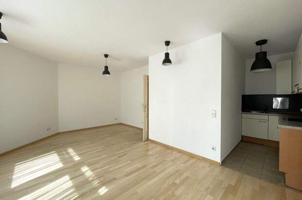 Wohnung mieten in 2340 Mödling (Bild 1)