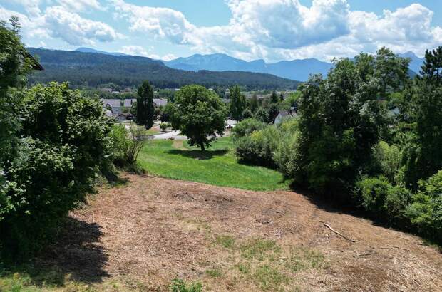 Grundstück kaufen in 9535 Schiefling (Bild 3)