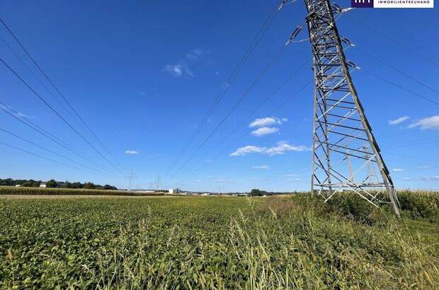 Grundstück kaufen in 8431 Gralla (Bild 2)