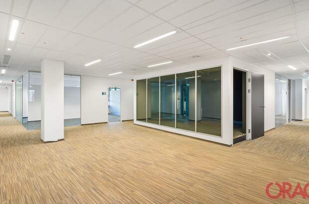 Gewerbeobjekt mieten in 1120 Wien (Bild 3)