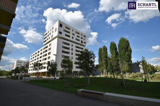 Einzelhandel kaufen in 1210 Wien (Bild 3)