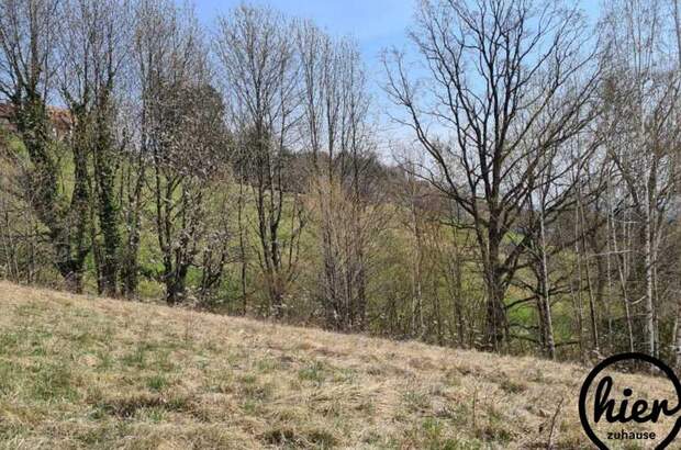 Grundstück kaufen in 8524 Deutschlandsberg (Bild 3)