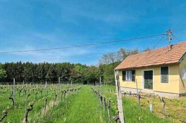 Immobilie kaufen in 7474 Eisenberg (Bild 3)