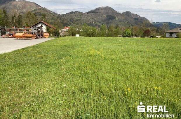 Grundstück kaufen in 4591 Molln (Bild 2)