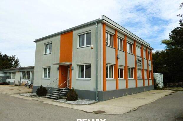 Büro / Praxis mieten in 2104 Spillern (Bild 1)