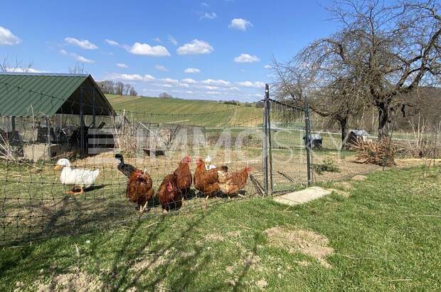 Einfamilienhaus kaufen in 7540 Kleinmürbisch (Bild 4)