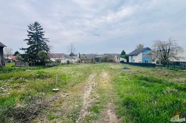 Grundstück kaufen in 2111 2111 Harmannsdorf (Bild 2)