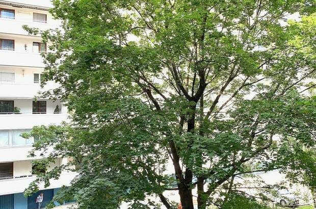 Wohnung mieten in 1200 Wien (Bild 1)