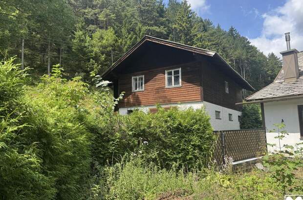Haus kaufen in 2734 Puchberg (Bild 2)
