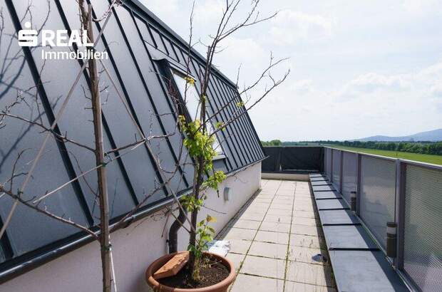 Terrassenwohnung kaufen in 2331 Vösendorf (Bild 3)