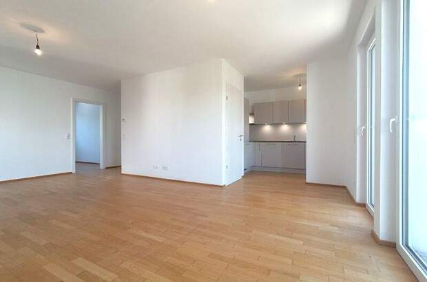 Terrassenwohnung kaufen in 1100 Wien (Bild 3)