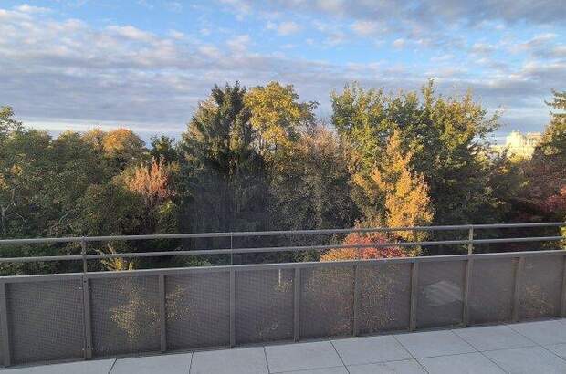 Terrassenwohnung kaufen in 1210 Wien (Bild 1)