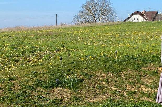 Grundstück kaufen in 8380 Jennersdorf (Bild 2)