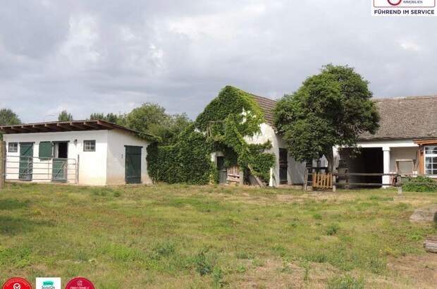 Einfamilienhaus kaufen in 2113 Karnabrunn (Bild 3)