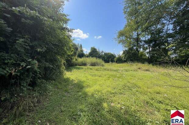 Grundstück kaufen in 3413 Hintersdorf (Bild 3)