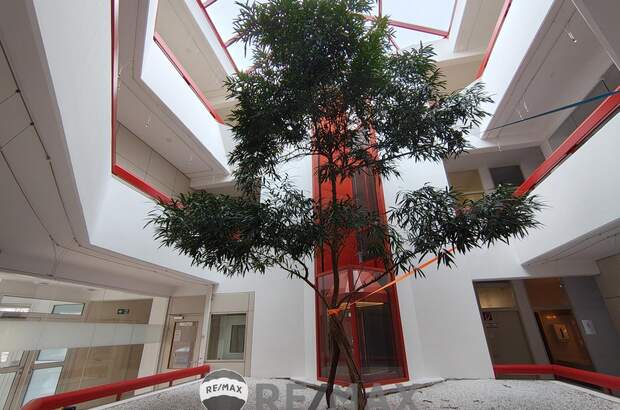 Büro / Praxis mieten in 1140 Wien (Bild 4)