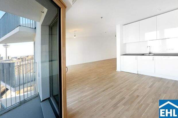 Terrassenwohnung mieten in 1100 Wien (Bild 2)