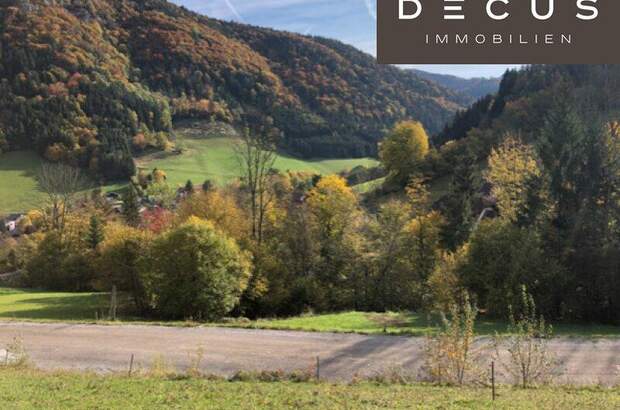 Grundstück kaufen in 3211 Loich (Bild 1)