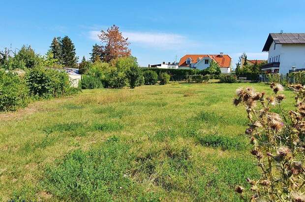 Grundstück kaufen in 2551 Enzesfeld