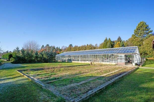 Grundstück kaufen in 3434 Katzelsdorf (Bild 4)