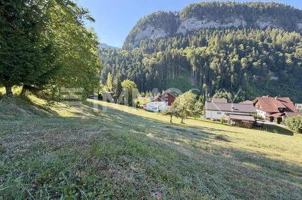Grundstück kaufen in 6840 Götzis (Bild 4)