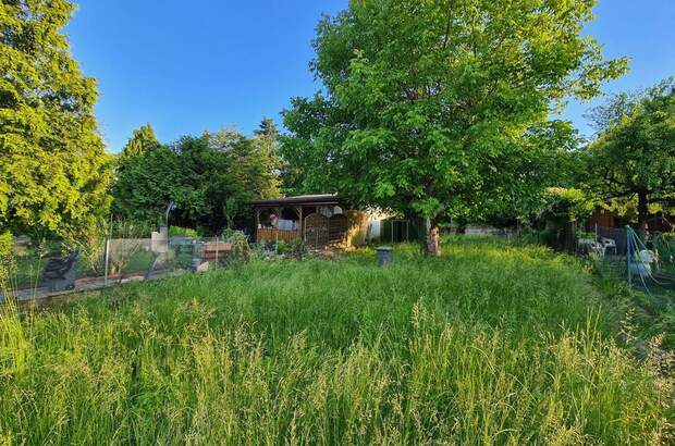 Grundstück kaufen in 1210 Wien (Bild 3)