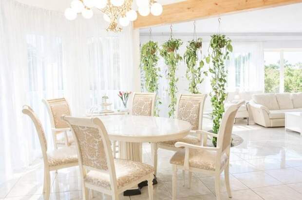 Einfamilienhaus kaufen in 2560 Berndorf (Bild 5)