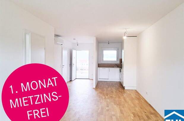 Terrassenwohnung mieten in 8020 Graz (Bild 1)