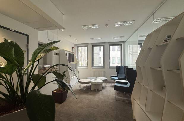 Gewerbeobjekt mieten in 1010 Wien (Bild 5)