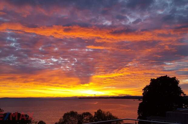 Wohnung kaufen in 6900 Lochau (Bild 3)