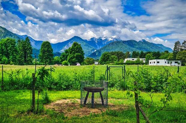 Grundstück kaufen in 9184 St. Jakob (Bild 4)