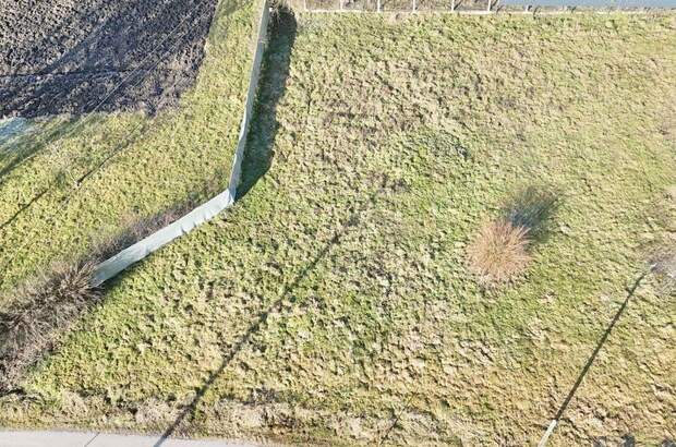 Grundstück kaufen in 4611 Buchkirchen (Bild 1)