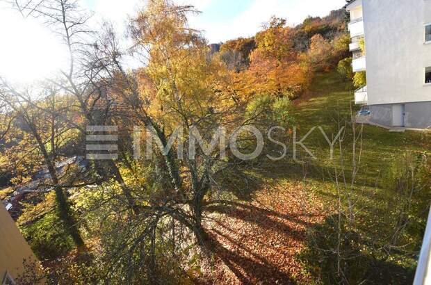 Terrassenwohnung kaufen in 4040 Linz (Bild 5)