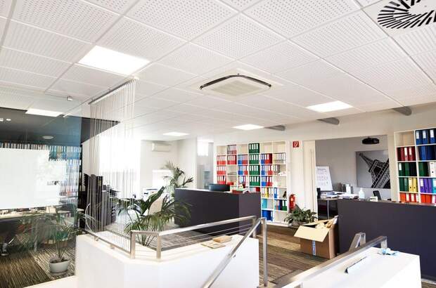 Gewerbeobjekt kaufen in 4614 Marchtrenk (Bild 5)