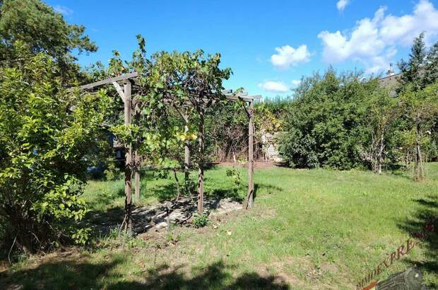 Einfamilienhaus kaufen in 2525 Schönau (Bild 5)