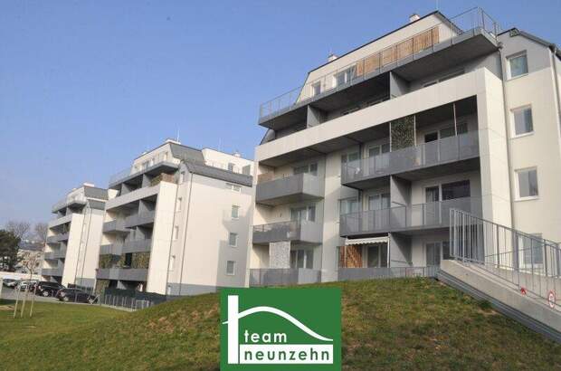 Terrassenwohnung mieten in 3100 St. Pölten (Bild 1)