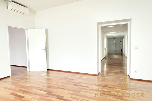 Gewerbeobjekt mieten in 1190 Wien (Bild 4)