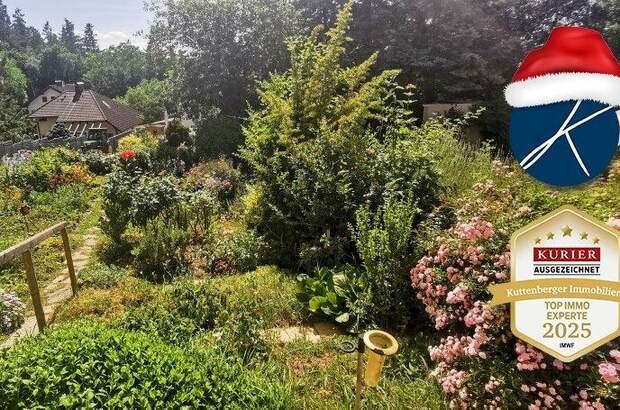 Eigentumswohnung in 2020 Hollabrunn (Bild 1)