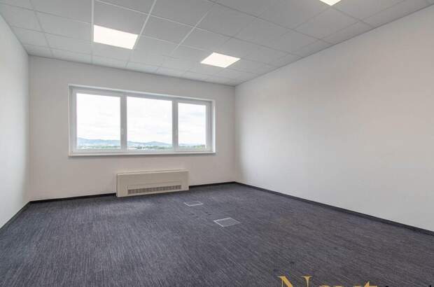 Gewerbeobjekt mieten in 4060 Leonding (Bild 3)