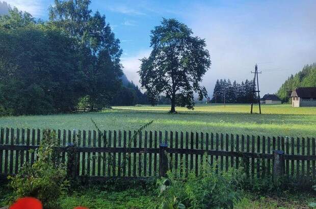 Bauernhaus kaufen in 8763 Möderbrugg (Bild 4)