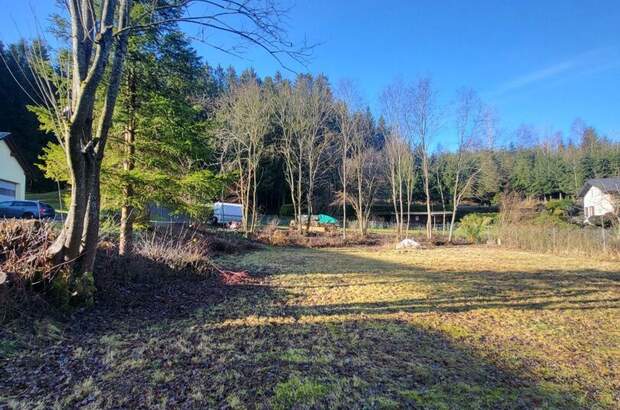 Grundstück kaufen in 4180 Saumstraß (Bild 5)