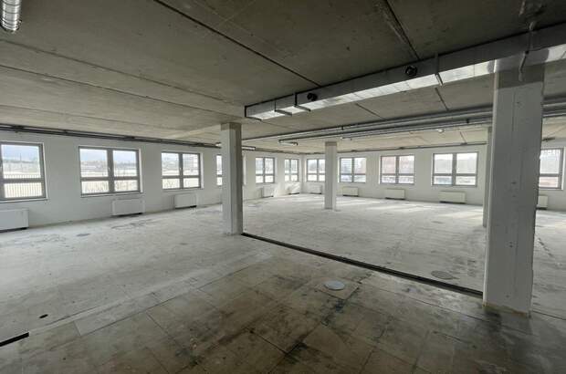 Gewerbeobjekt mieten in 1230 Wien (Bild 5)